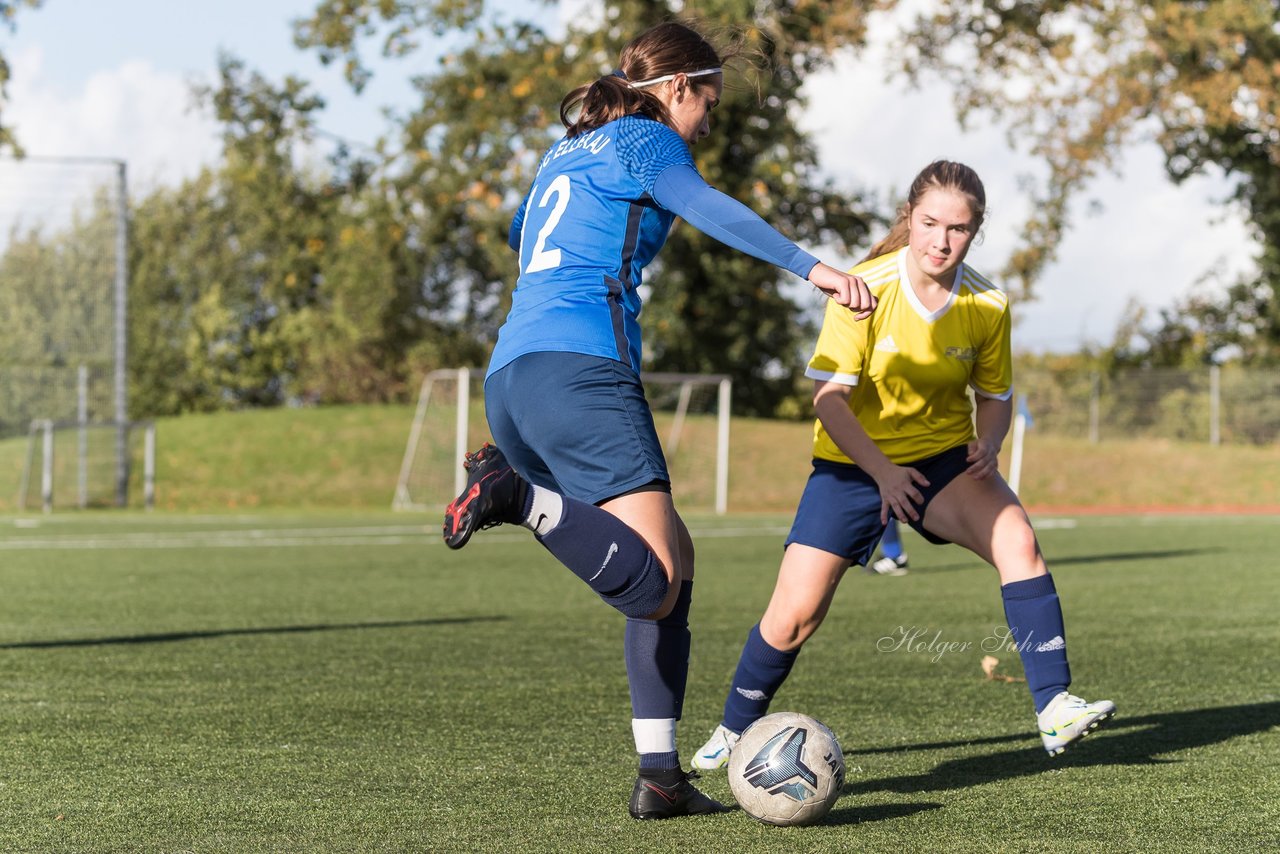 Bild 250 - F Ellerau - SV Eidelstedt 2 : Ergebnis: 2:2